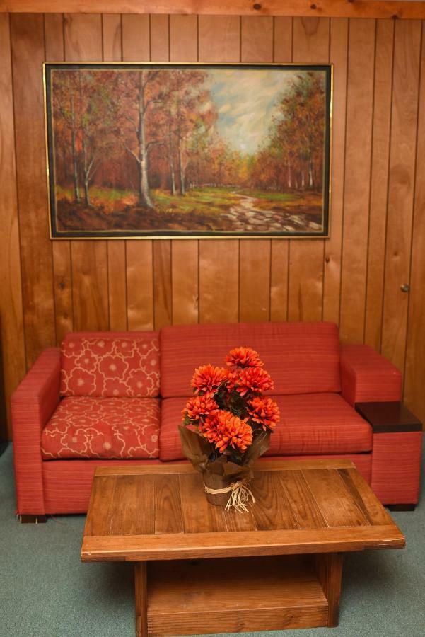 מאונט פוקונו Chestnut Grove Family Resort מראה חיצוני תמונה